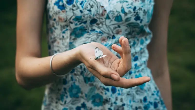 Woman with Butterfly signifying How to become a Divorce Coach and why your story matters