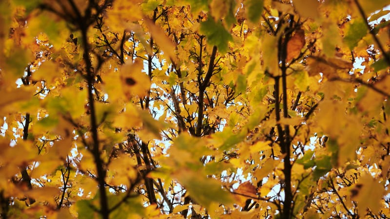 How to leave a toxic relationship How to leave a toxic relationship